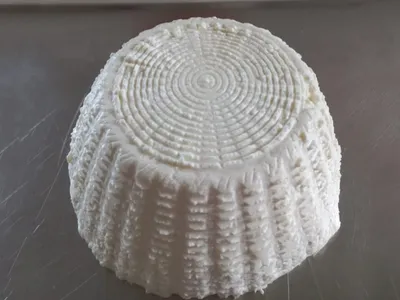 Ricotta ovina fresca artigianale Bianca Linas